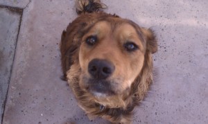 Olivia at about 18 months