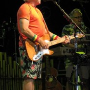 Neither your content nor your product are Jimmy Buffett